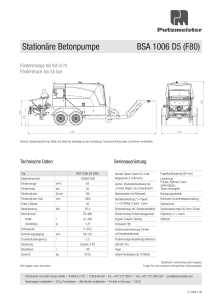 BSA 1006 D5 F80 Typenblatt DE